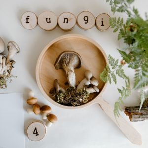 Mushroom Wooden Sensory Tray